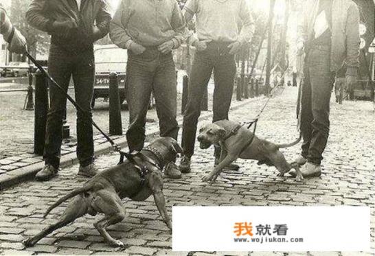 有什么欧美好看拳击擂台比赛电影么？