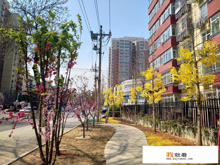 我是今年才看漫画《最高机密》的，迷死我了，向清水大神致敬，求推荐类似的漫画？