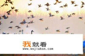 盐城是个大城市吗？