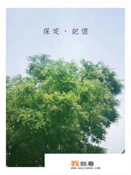 保定人去万博都玩什么？