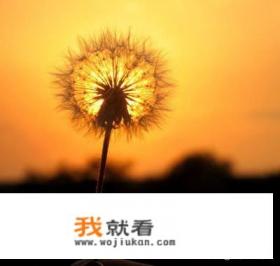 不喜欢老公的家人，也开始讨厌老公了，怎么办啊？
