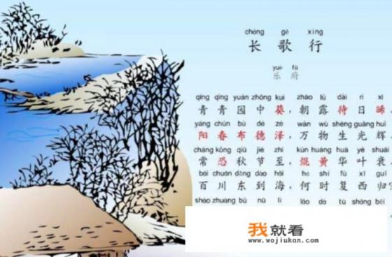 《长歌行》全诗及意思分别是什么？