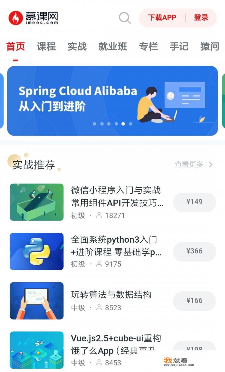 it网站什么意思？