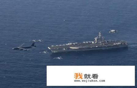 美国鹰是什么种类？