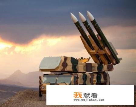 美国鹰是什么种类？