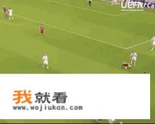 瑞士欧冠最好成绩？