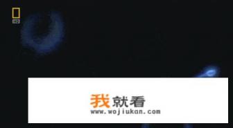 怀孕需要当地农村妇女主任汇报吗？
