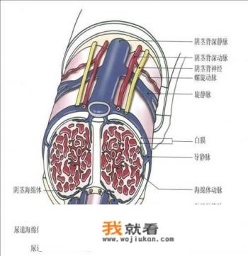 怀孕需要当地农村妇女主任汇报吗？
