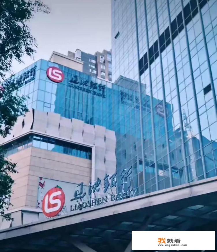 辽宁省社保查询个人账户查询？