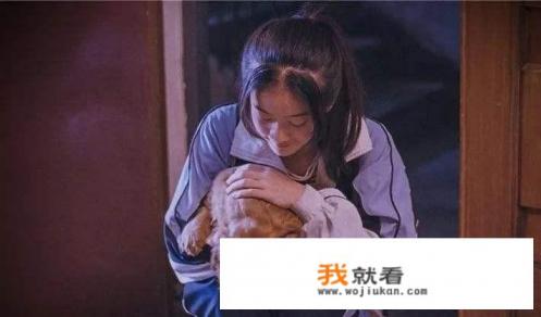 孩子成长中的风险及防护观后感？