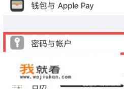 怎样查看iPhone中存储的应用密码？