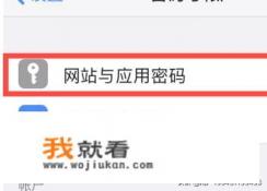 怎样查看iPhone中存储的应用密码？