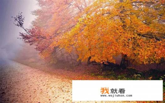 书写人生还是抒写人生？