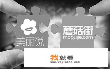美丽说和蘑菇街的模式能否复制到服饰、饰品以外的其它垂直领域？