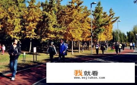 北京有免费的公园吗？