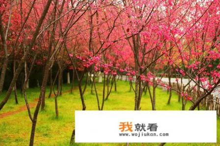 去厦门拍婚纱照顺便旅游不知道大概要花多少钱？