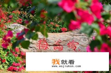 去厦门拍婚纱照顺便旅游不知道大概要花多少钱？