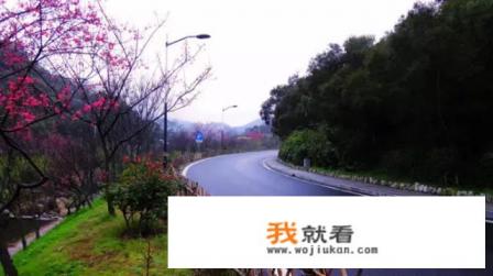 去厦门拍婚纱照顺便旅游不知道大概要花多少钱？