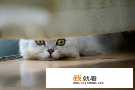 单身男性看的电影？