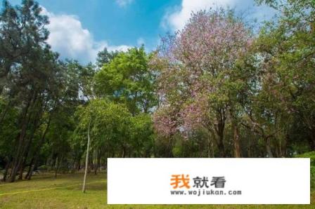 深圳周末好玩的地方有哪些大鹏古城好玩吗？
