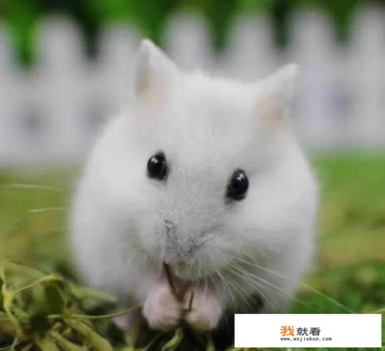 有几台电脑想挂机赚点钱，请问要玩什么游戏好？