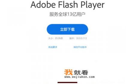 电脑上怎么打开swf文件？
