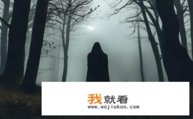 他是狐狸完结了吗？关于他是狐狸的完结情况，你了解了吗？他是否真的成为了狐狸的终结者？