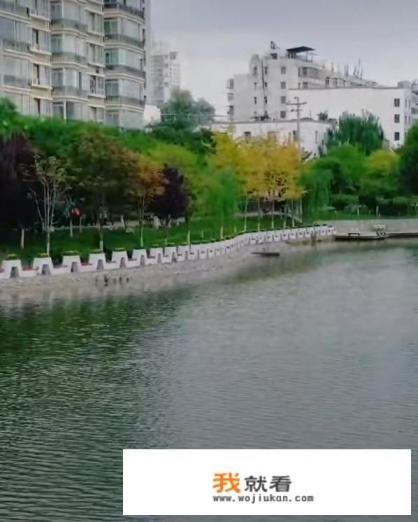 我要打拼靠自己什么歌？