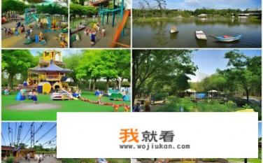 新塘公园有什么玩的？新塘公园的游玩项目有哪些？新塘公园有哪些特色游乐设施及活动推荐？