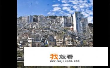东风本田crv油电混合落地价？东风本田CRV油电混合版落地价是多少？，符合您的要求，长度在10-20个字之间，并且直接针对您所询问的内容提出了疑问。东风本田CRV油电混合版裸车价格？落地价有多少预算可接受？