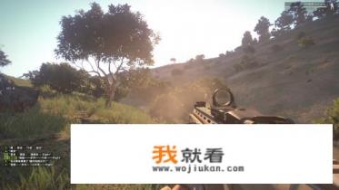 有什么拟真度比较高的射击游戏值得推荐？