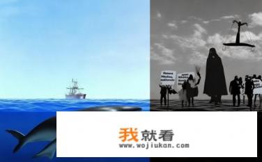 为什么日本大量捕鲸只是遭到谴责，而没有受到惩罚？日本捕鲸行为为何未受实质性惩罚？为何日本对过度捕捞遭谴责而不进行实际惩罚?