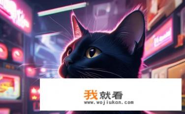 游戏猫商城靠谱吗？游戏猫商城可信度评价如何？是否值得信赖？