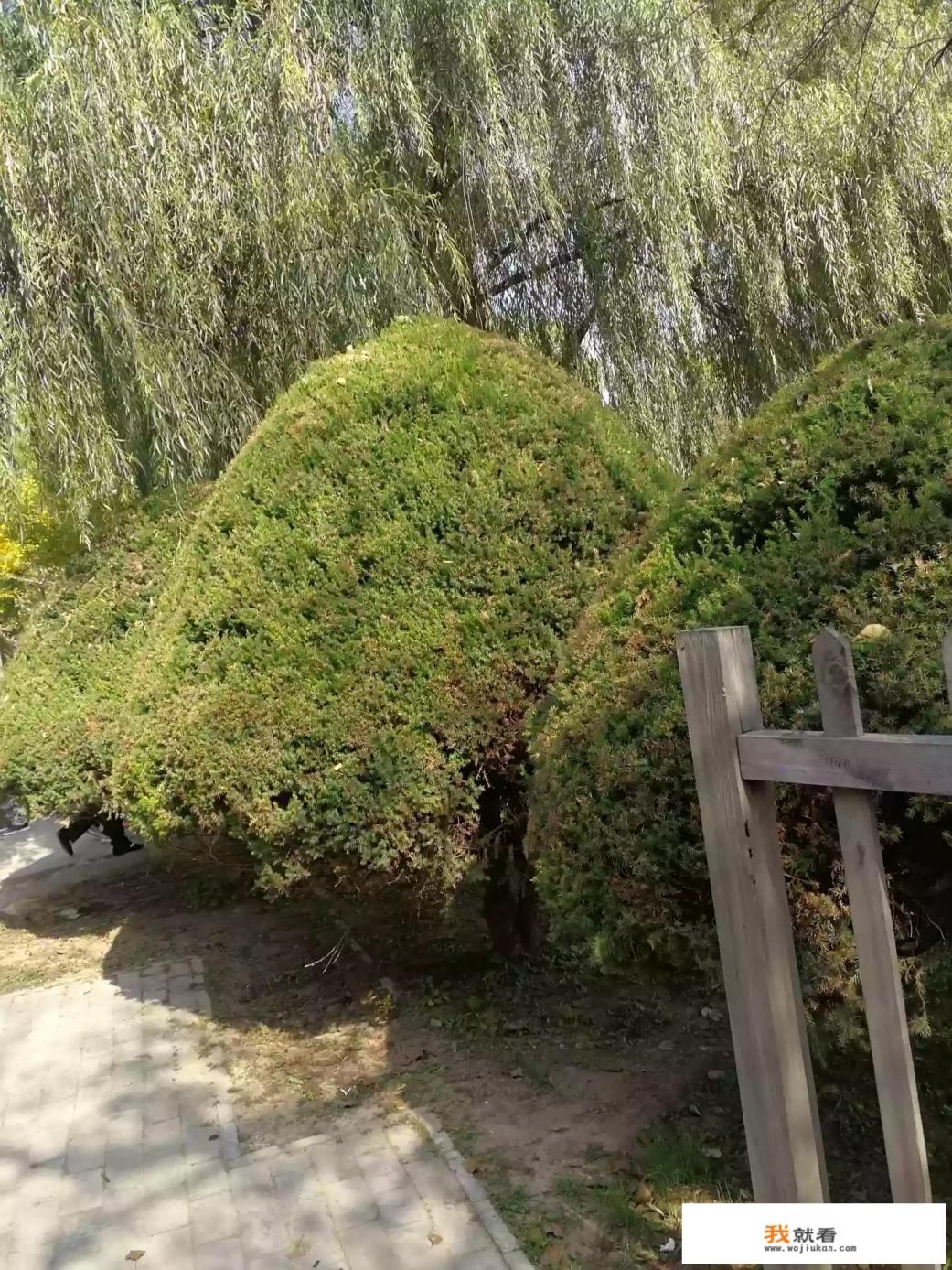 生活这杯苦咖啡，你怎么看待的呢？