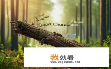 森雅为什么停产？森雅停产原因分析，市场竞争、产品质量问题、品牌调整等多因素导致?