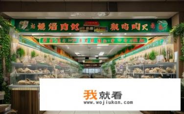 盐城兔子宠物店？盐城兔子专卖店规模如何？