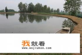 穿越养鱼养鸡种树的小说？