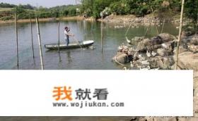 穿越养鱼养鸡种树的小说？