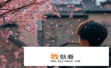 求《古城春色》作者：张东林电子阅读小说？这位作家的古城春色电子书版详情如何？