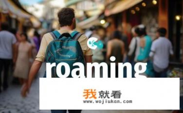 roaming是什么牌子的？Roaming是哪个品牌的产品?