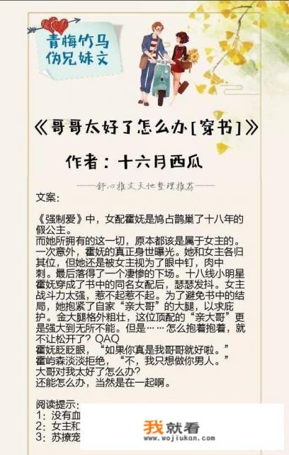 关于兄妹的言情小说？