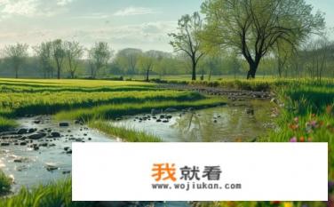 南风慢慢起叫什么？南风唤起了什么样的生机和变化？