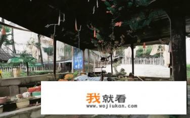 “素有”的“素”是什么意思？素有的素含义为 原本、从来，常用于形容事物或人的本质属性、习惯等。例如，，该作品一贯以细腻的笔触和丰富的象征意象著称，素有艺术瑰宝之称。，我们一直以来都秉持着环保的理念，素有绿色公民的称号。，面对新挑战，他总是抱持着冷静与务实的态度，素有战略智者之称。