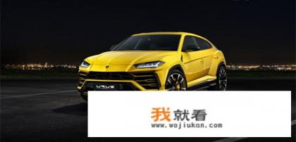 兰博基尼兰扎多suv落地价？