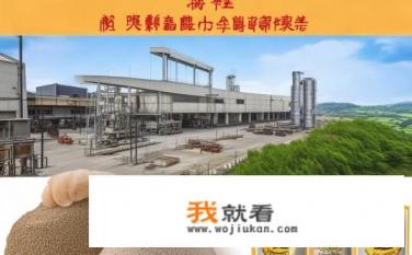 江门市树记粮食加工有限公司介绍？江门市粮食加工企业发展历程及产品优势?