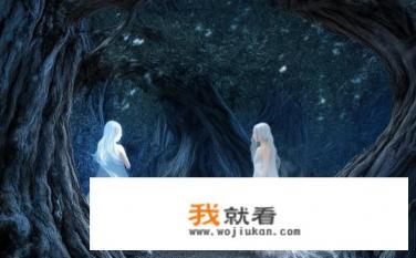 缘趣是什么？缘起何为？探索神秘的相遇与邂逅之美