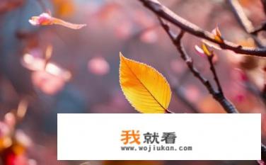 寒山十月旦，霜叶一时新。风吹一片叶，万物已惊秋。早秋惊落叶，飘零似客心。这三句什么意思？不是同一首？人间四月芳菲尽，山寺桃花始盛开与早秋风起叶落时，万物凋零思故乡在含义上有所不同。第一句话描绘的是春末夏初的景色，桃花盛开于农历四月，而第二句话则是描述了秋天初至时的景象，树叶开始纷纷掉落，就像离别一般令人感慨和伤感。两句话都涉及到自然景观的变化，但是主题侧重点不同，第一句描绘了一幅生机勃勃的春天画面，第二句则更多地表达了人们对秋季的深深思念和感叹。因此，虽然这两句话都是关于秋季的描写，但它们各自侧重的表现手法、季节特点以及情感色彩却不同。