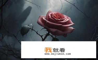 《玫瑰与极恶灵魂》属于什么类型的小说？玫瑰与邪魔的宿命之约，玫瑰与极恶灵魂小说类型解析