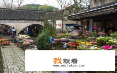青石桥花鸟市场有芦丁鸡卖吗？芦丁鸡在青石桥花卉市场售卖吗?