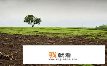 一片曾经富饶的土地逐渐变得贫瘠？土地荒芜，何时恢复生机？